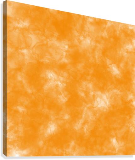 Tangerine Canvas Print