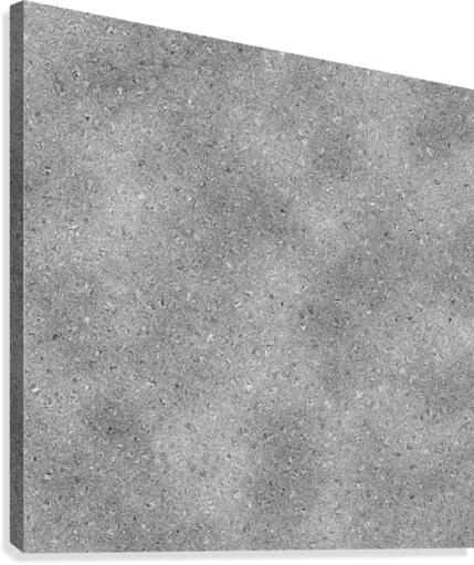 Silver Glitter Canvas Print
