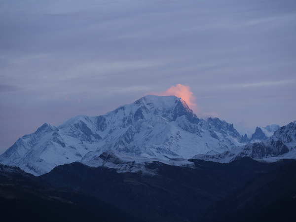 Mont Blanc Rose Print