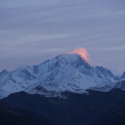 Mont Blanc Rose