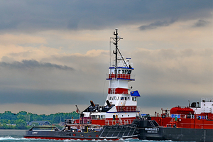 Albert Detail 071322