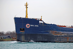 Tim S Dool Detail 2 042520