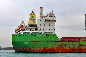 Wigeon Detail 042520