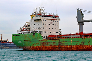 Wigeon Detail 2 042520