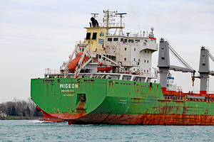 Wigeon Detail 4 042520