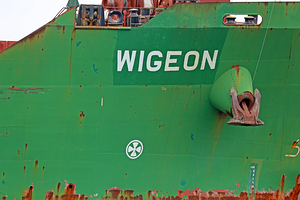 Wigeon Detail with Anchor 042520