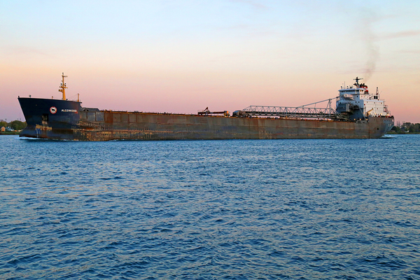 Algowood at Dusk 3 Print