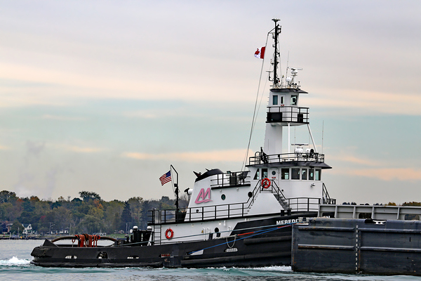 Meredith Ashton 102421 Print