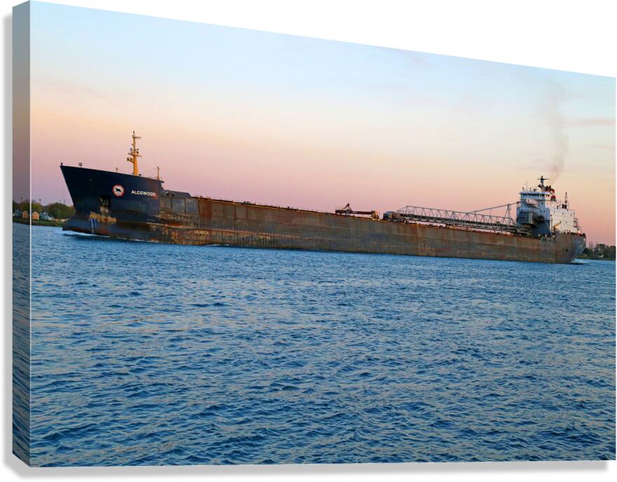 Algowood at Dusk 3 Canvas Print