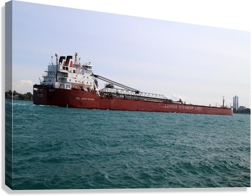 CSL Assiniboine 091717 Canvas Print