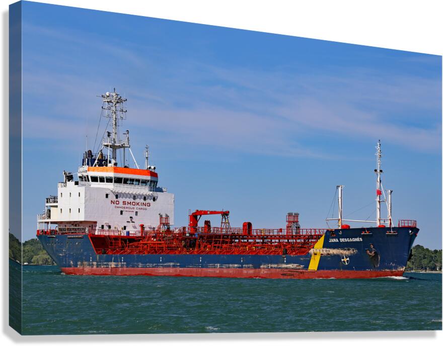 Jana Desgagnes 061320 Canvas Print