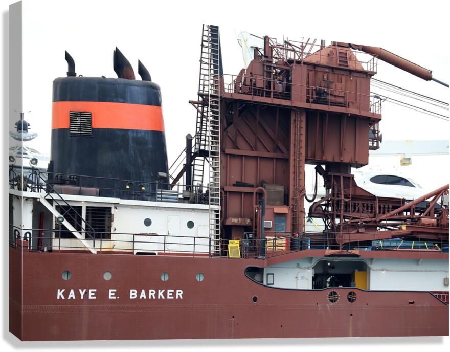 Kaye E. Barker Closeup 2 060221 Canvas Print