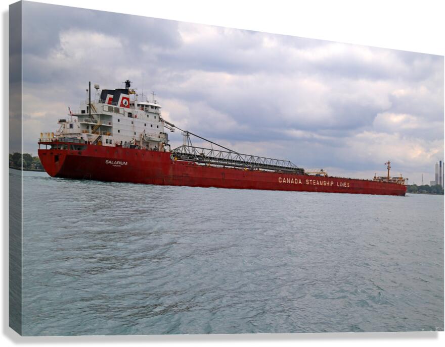 Salarium 1 Canvas Print