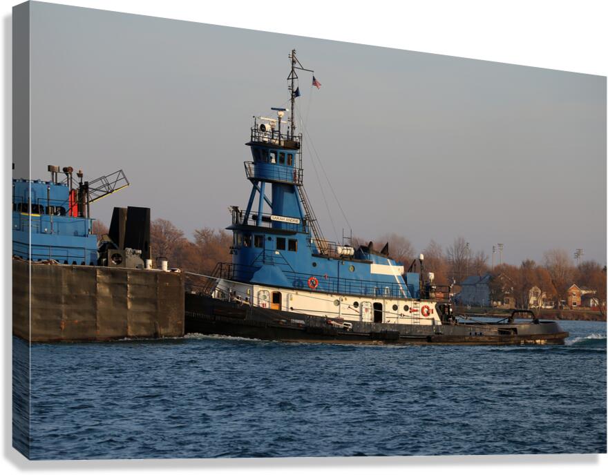 Sarah Andrie Detail 2 Canvas Print