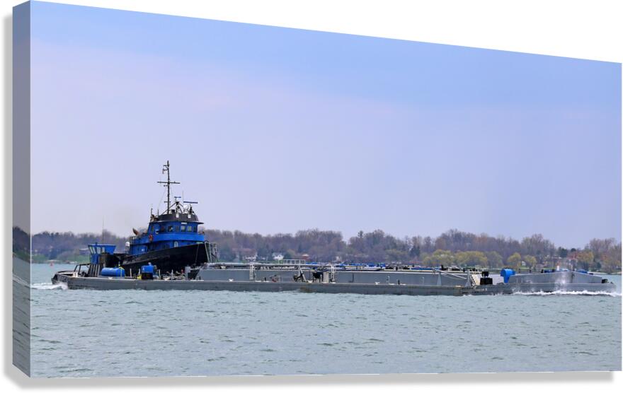 Spartan and Spartan II Canvas Print