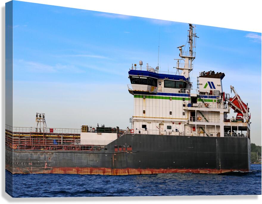 Wicky Spirit Detail 062622 Canvas Print