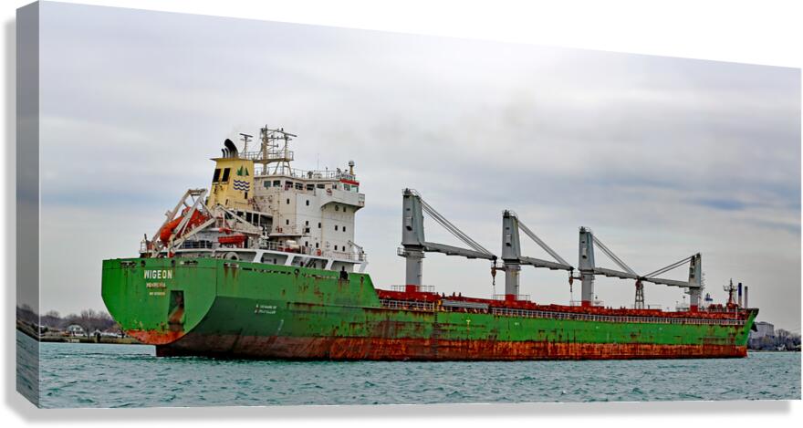 Wigeon Panorama 042520 Canvas Print