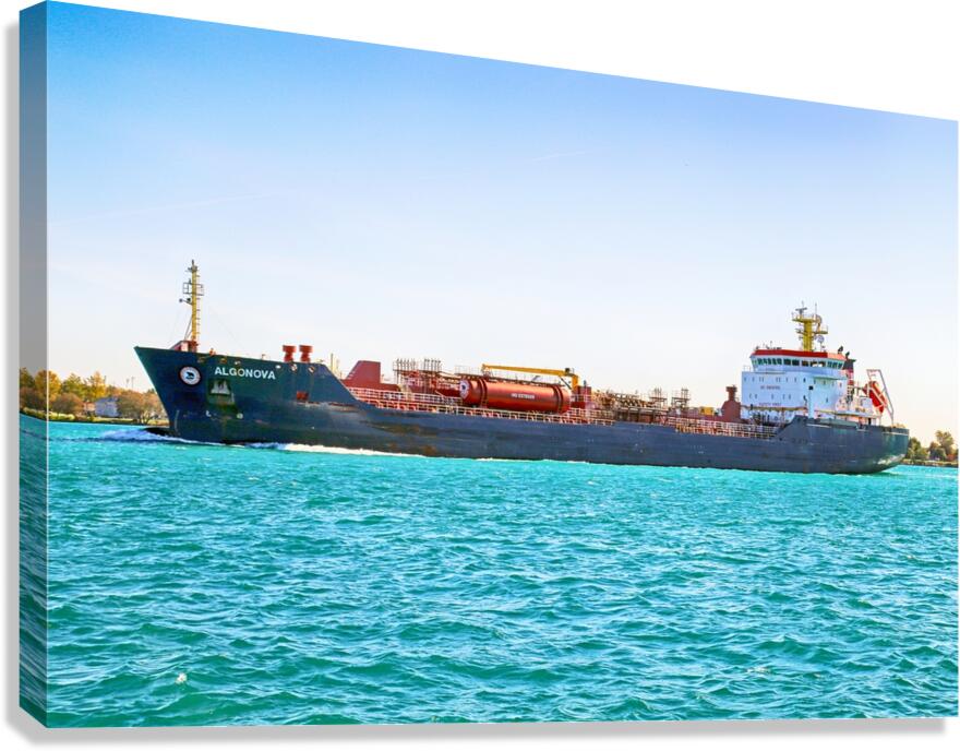 Algonova 1 Canvas Print