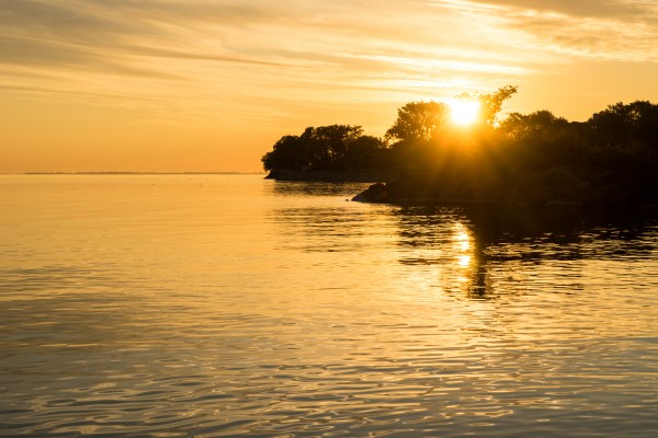 Pure Gold - Silky Sunrise Over Water by GeorgiaM
