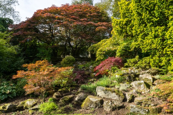 Multicolored Hillside - Foliage Melange in Reds and Greens by GeorgiaM
