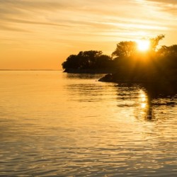 Pure Gold - Silky Sunrise Over Water