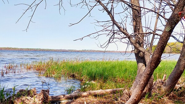 Boat Lake by Marc Denis