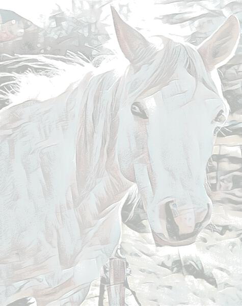ASCII Stallion by Mccyle Khan