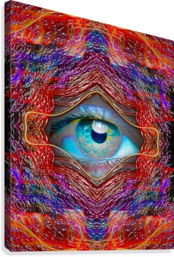 LOOKING GLASS Canvas Print