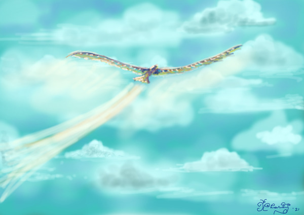 Soar Print