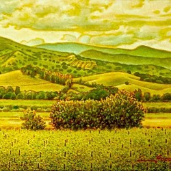 461848835 8359104710841656 8531777428381371662 n.