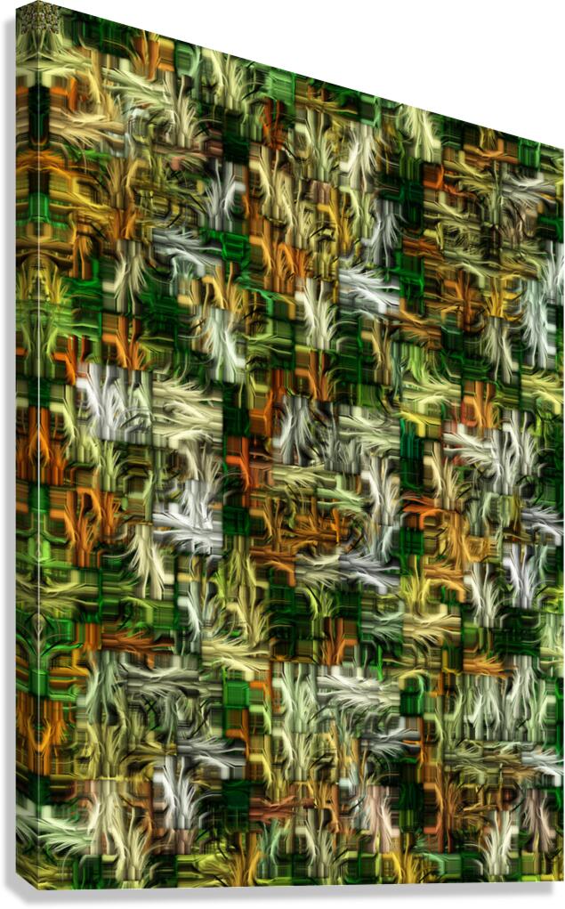 abstracting 4 Canvas Print