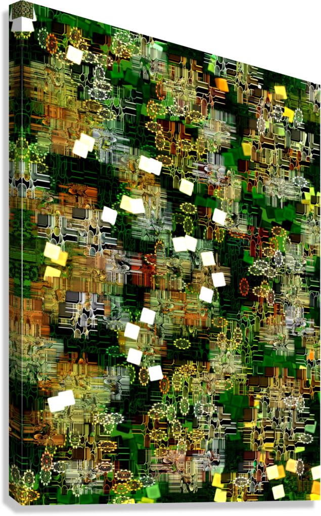 abstracting 5 Canvas Print