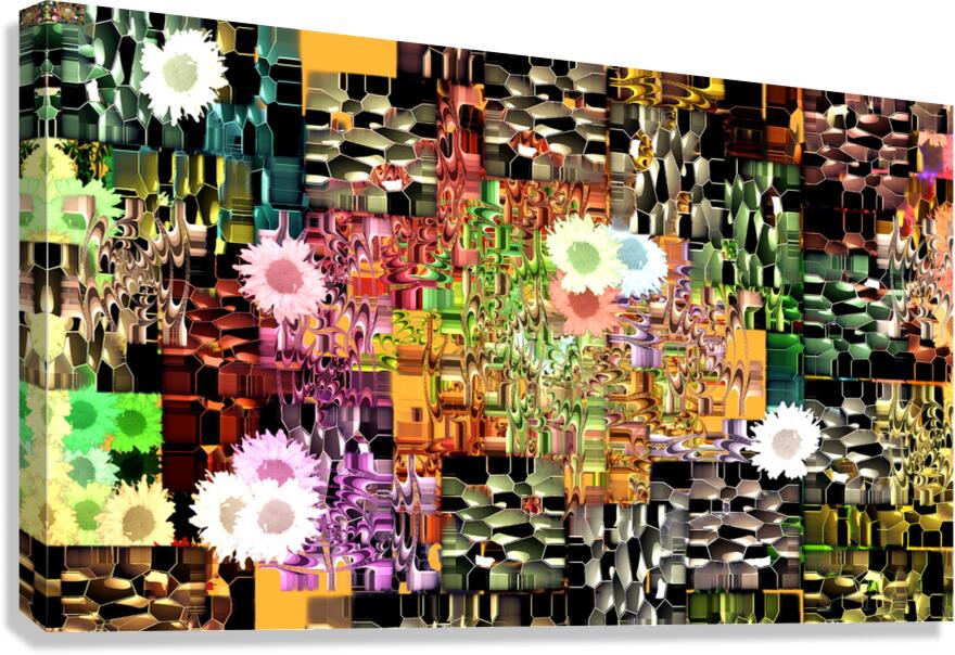 abstracting 9 Canvas Print