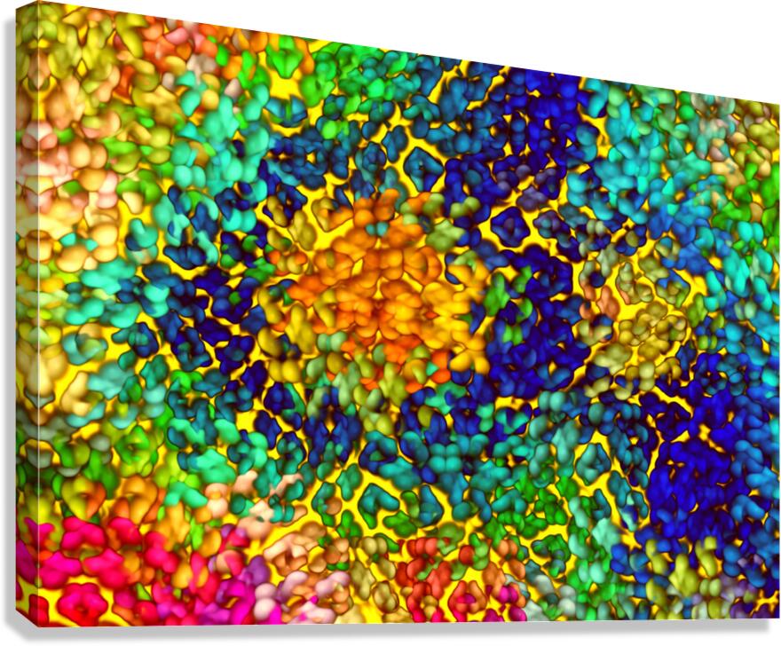 abstracting 12 Canvas Print