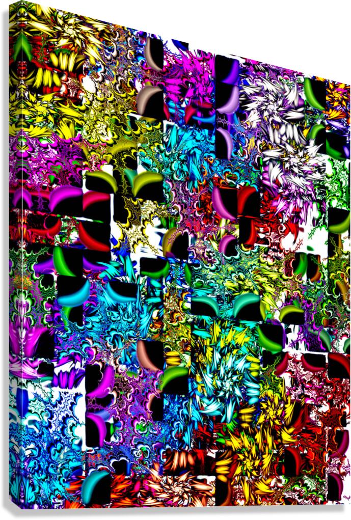 abstracting 26 Canvas Print