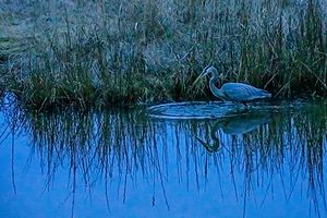  The Mirror