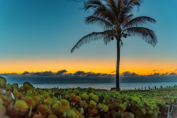  Sunrise on Del Ray Beach Florida  by Ron Miller