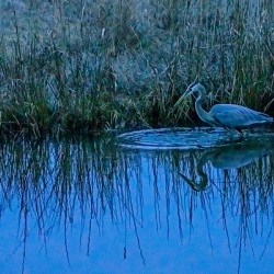  The Mirror