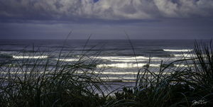 PACIFIC OCEAN WAVES