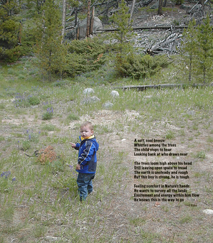 AmongTheTrees - portrait