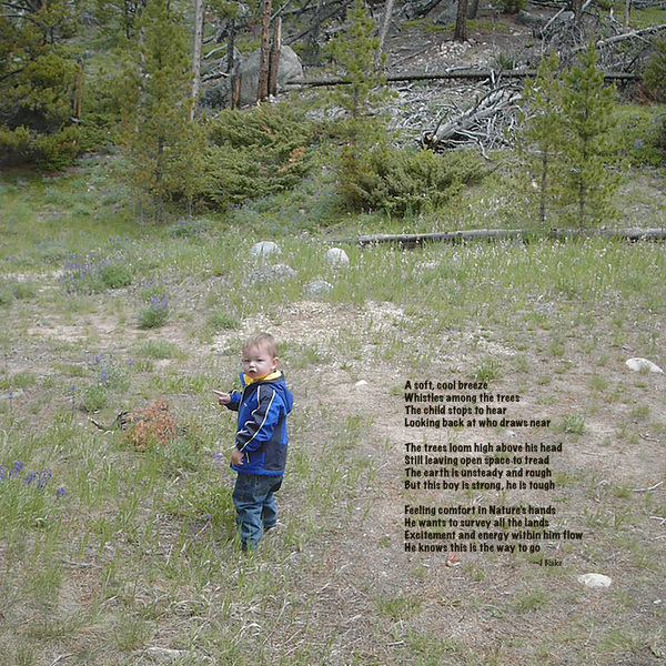 Among the Trees - square Print