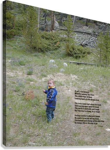 AmongTheTrees - portrait Canvas Print