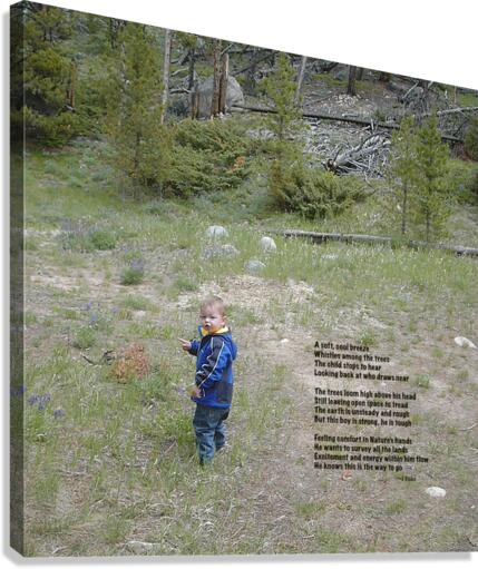 Among the Trees - square Canvas Print