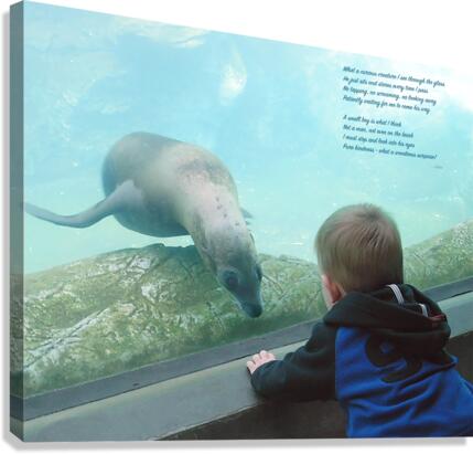 Child in the Glass Canvas Print