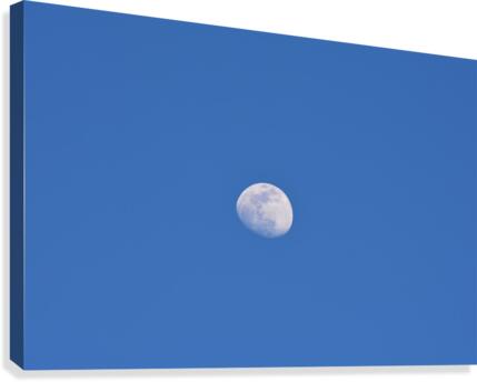 Daytime Moon Canvas Print