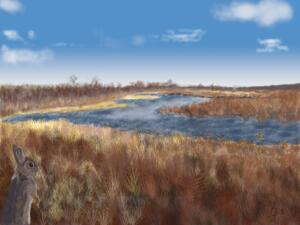 La digue aux aigrettes 2