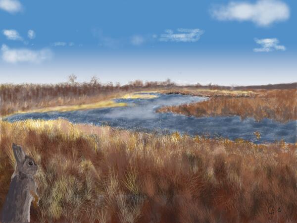 La digue aux aigrettes 2 Print