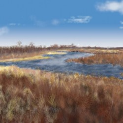 La digue aux aigrettes 2