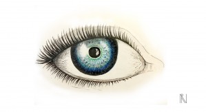 Eye