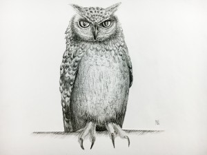Qwl